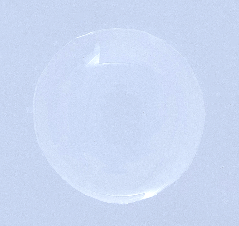 セルジューヌGFセラム