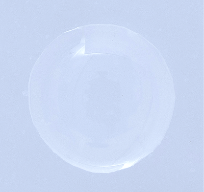 セルジューヌGFセラム